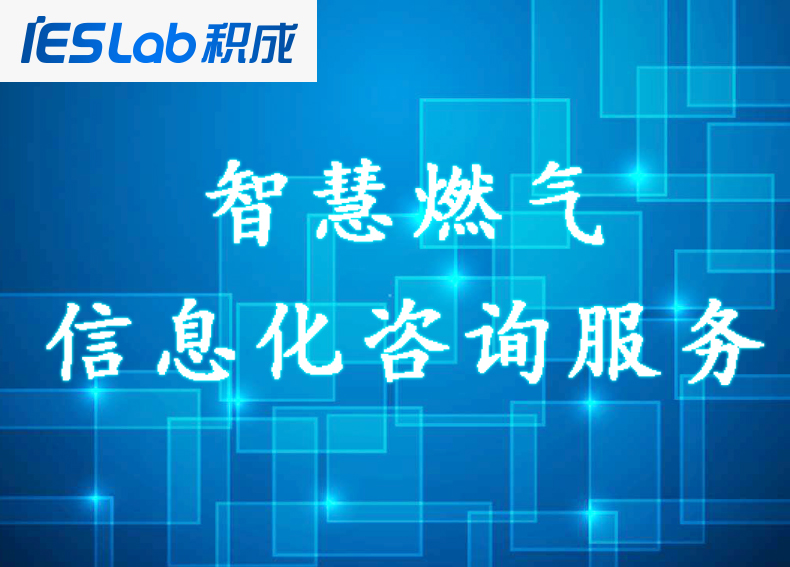 信息化咨詢(xún)服務(wù)